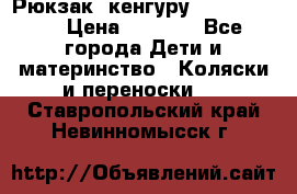 Рюкзак -кенгуру Baby Bjorn  › Цена ­ 2 000 - Все города Дети и материнство » Коляски и переноски   . Ставропольский край,Невинномысск г.